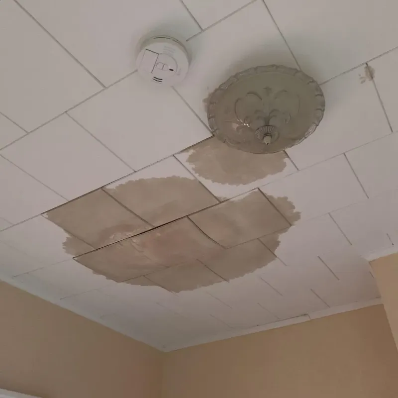 Ceiling Water Damage Repair in Kingston, OK