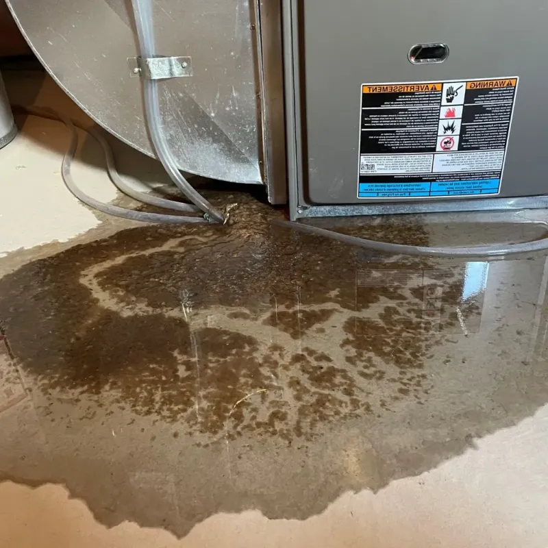 Pipe Burst and Leak Restoration in Kingston, OK