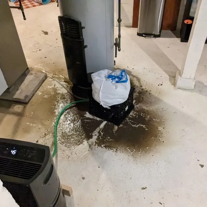 Sewage Backup Cleanup Service in Kingston, OK